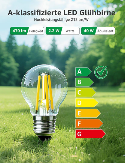 Lepro Energieklasse A E27 LED Warmweiss, 2.2W 470 Lumen Glühbirne E27, Nicht Dimmbar, G45 Led Birne, 2700 Kelvin Warmweiß, 300° Abstrahlwinkel Energiesparlampe, ersetzt 40W Leuchtmittel, 2 Stück