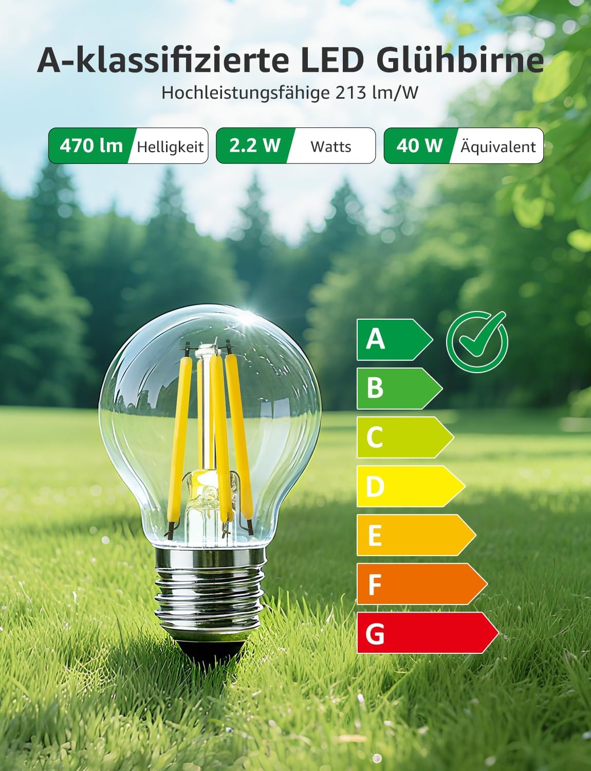 Lepro Energieklasse A E27 LED Warmweiss, 2.2W 470 Lumen Glühbirne E27, Nicht Dimmbar, G45 Led Birne, 2700 Kelvin Warmweiß, 300° Abstrahlwinkel Energiesparlampe, ersetzt 40W Leuchtmittel, 4 Stück