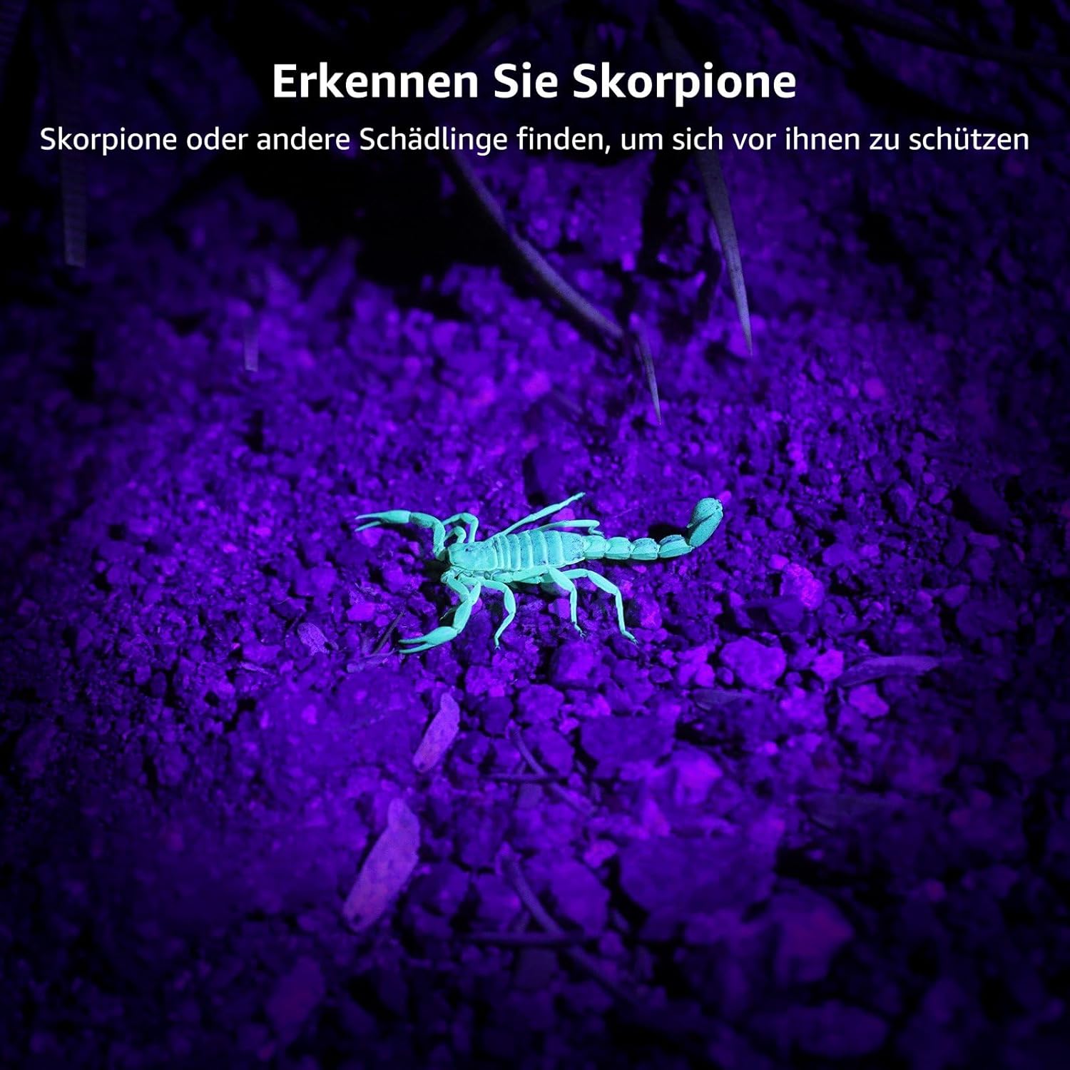 Lepro UV Schwarzlicht Taschenlampe mit 51 LEDs, UV Lampe HD51 Haustiere Urin-Detektor Ultraviolettes Licht mit 395nm für Eingetrocknete Flecken Ihrer Hunde, Katzen und Nagetiere auf Teppichen